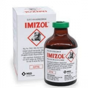 Imizol 100ml injectable bottle – redwater and anaplasmosis treatment for cattle